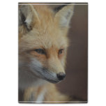 Cute Red Fox Post-it Notes