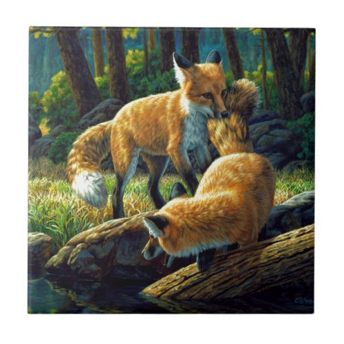 Cute Red Fox Pups Playing Ceramic Tile