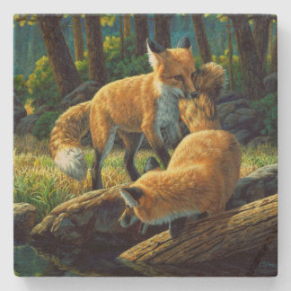 Cute Red Fox Pups Playing Stone Coaster