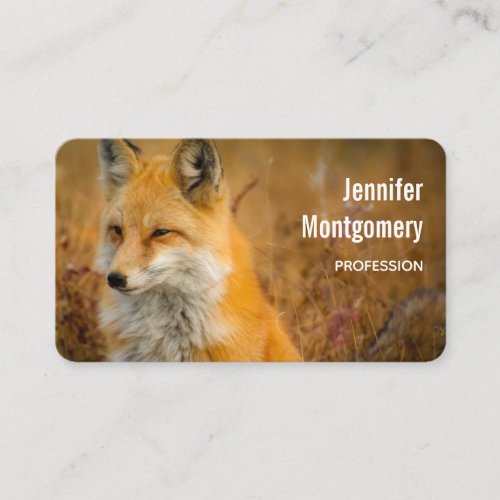 Cute Red Fox Wilderness Nature Photo Business Card