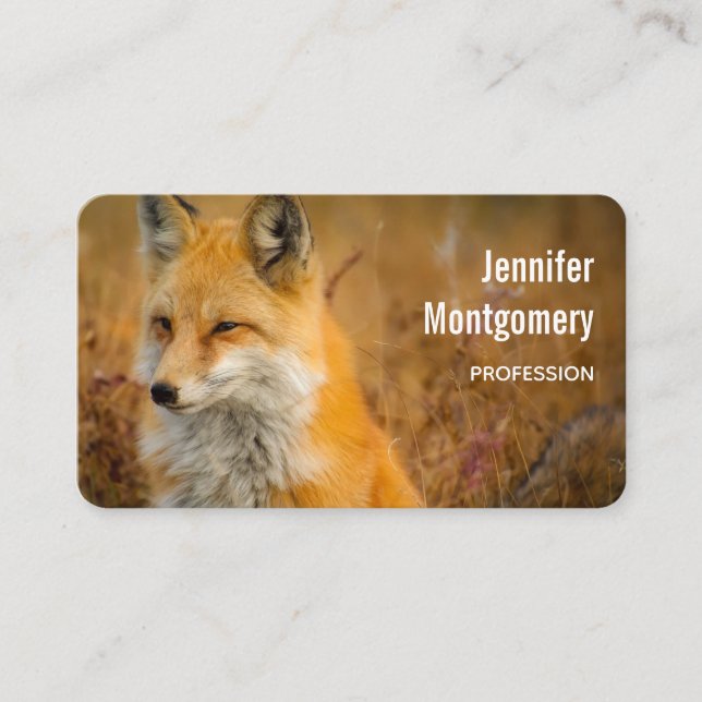 Cute Red Fox Wilderness Nature Photo Business Card (Front)