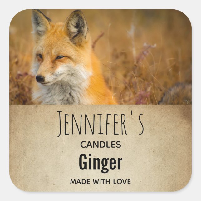 Cute Red Fox Wilderness Nature Photo Candle Biz Square Sticker (Front)