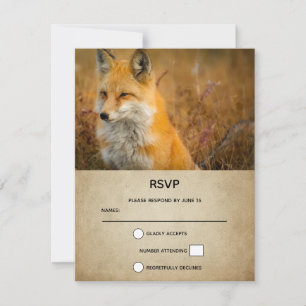 Cute Red Fox Wilderness Nature Photo RSVP Card