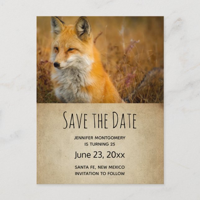 Cute Red Fox Wilderness Nature Photo Save the Date Invitation Postcard (Front)
