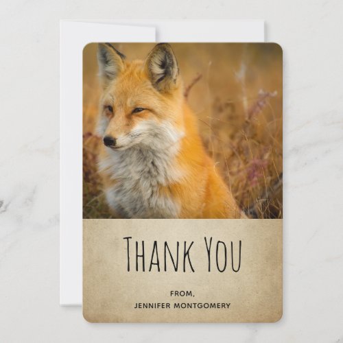 Cute Red Fox Wilderness Nature Photo Thank You