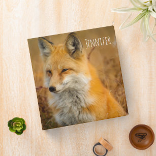 Cute Red Fox Wilderness Nature Photography 3 Ring Binder