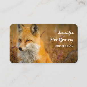 Cute Red Fox Wilderness Nature Photography Business Card