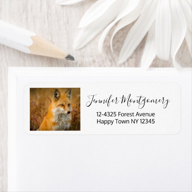 Cute Red Fox Wilderness Nature Photography Label (Insitu)
