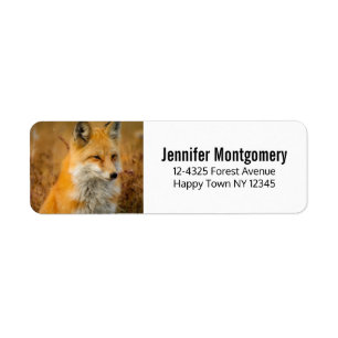 Cute Red Fox Wilderness Nature Photography Label