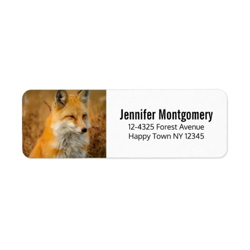 Cute Red Fox Wilderness Nature Photography Label