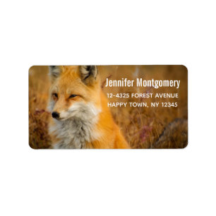 Cute Red Fox Wilderness Nature Photography Label