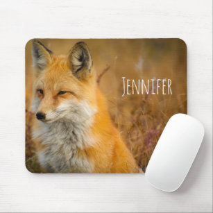 Cute Red Fox Wilderness Nature Photography Mouse Pad