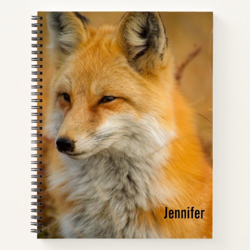 Cute Red Fox Wilderness Nature Photography Notebook