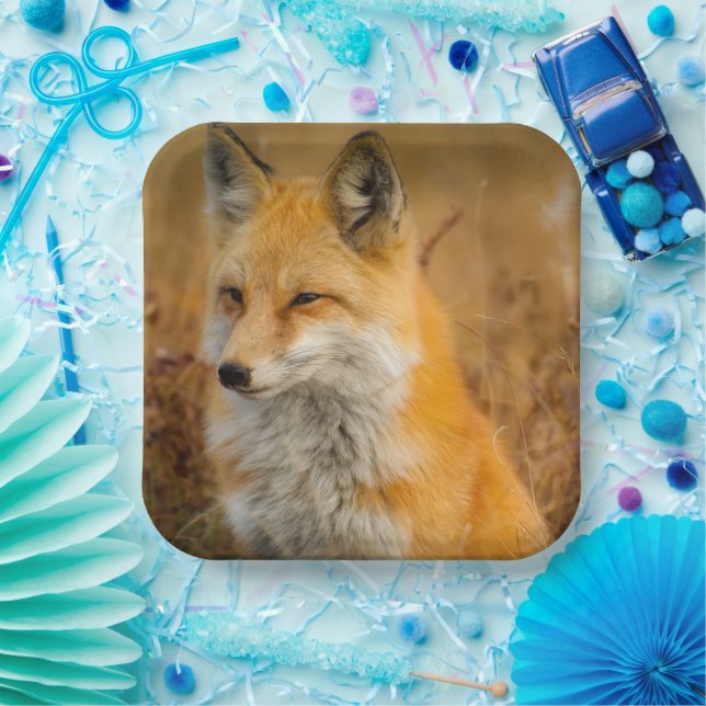 Cute Red Fox Wilderness Nature Photography Paper Plates (Party)