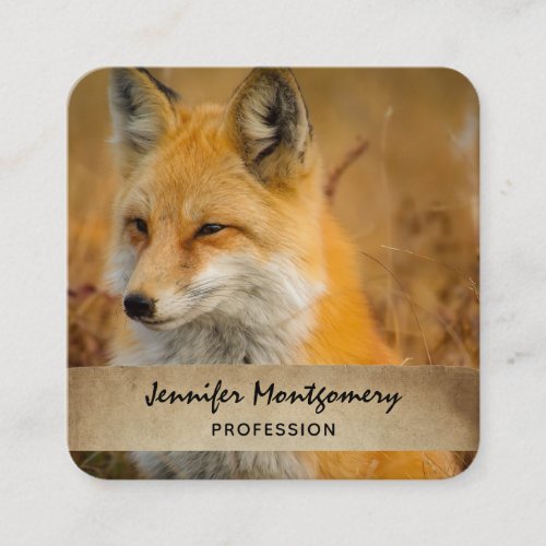 Cute Red Fox Wilderness Nature Photography Square Business Card