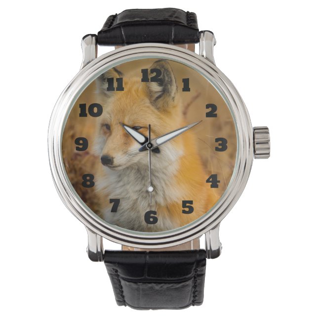 Cute Red Fox Wilderness Nature Photography Watch (Front)