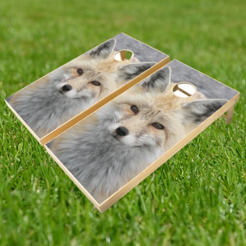 Cute Red Fox Wildlife Photo Cornhole Set