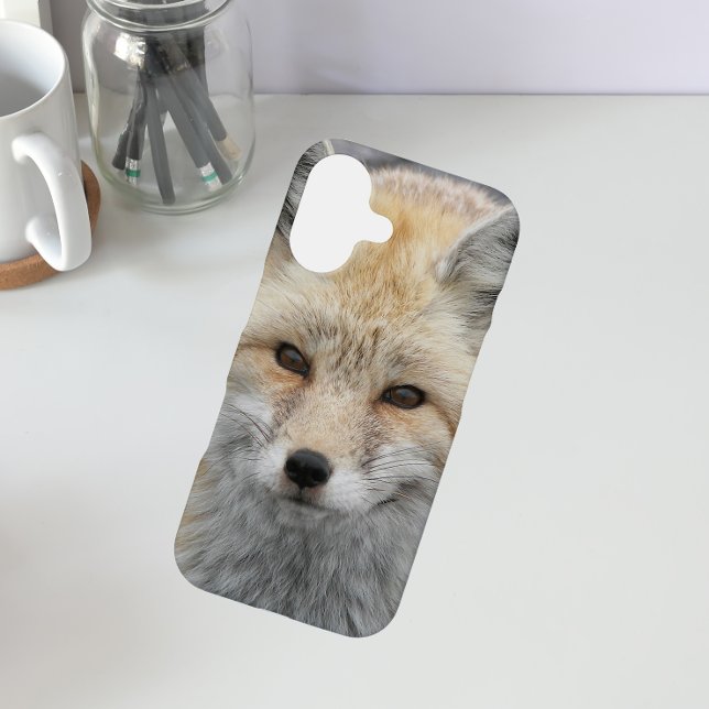 Cute Red Fox Wildlife Photo iPhone Case (In Situ)
