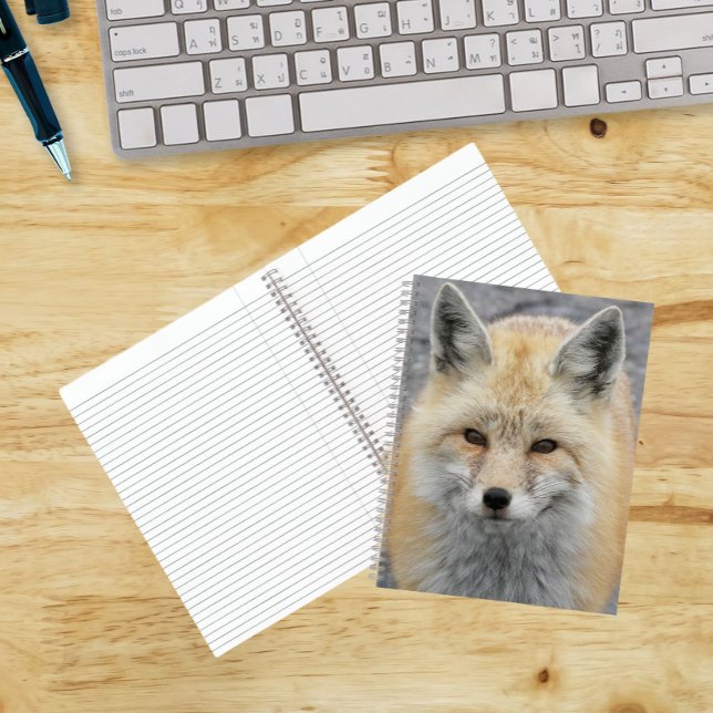Cute Red Fox Wildlife Photo Notebook (In Situ)