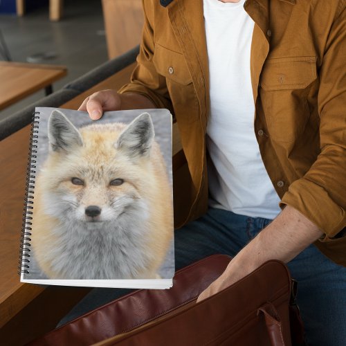 Cute Red Fox Wildlife Photo Notebook