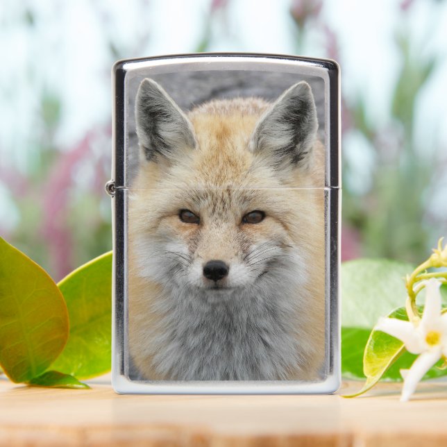 Cute Red Fox Wildlife Photo Zippo Lighter (On Table)