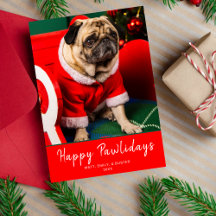Cute Red & Green Dog Puppy Photo Happy Pawlidays