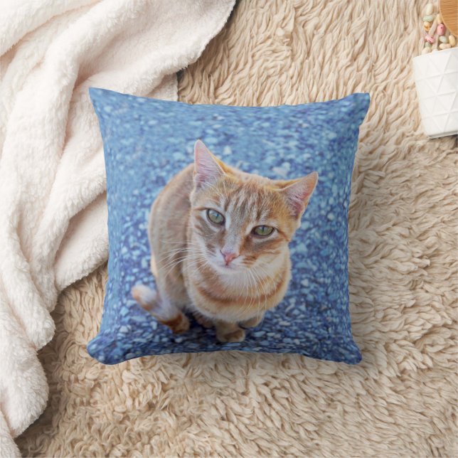 Cute red kitten on blue throw pillow (Blanket)