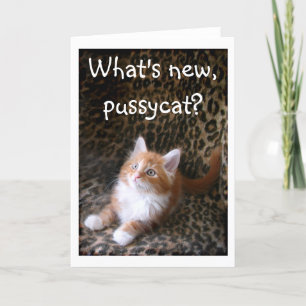 Cute red kitten on leopard print greeting card