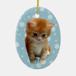 Cute red kitten, snowflakes on blue ornament