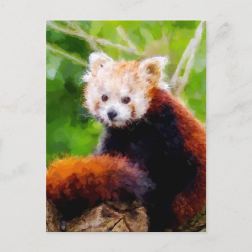 Cute Red Panda Animal Hand Painted Postcard
