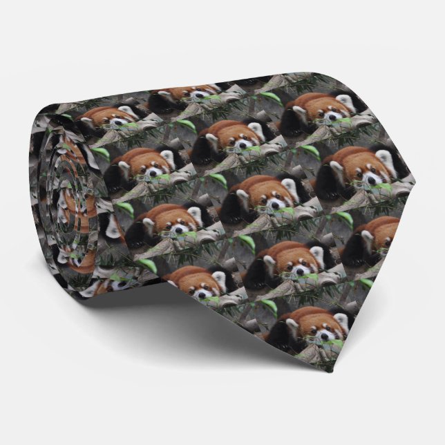 Cute Red Panda at the zoo. Neck Tie (Rolled)