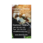 Cute Red Panda Bear Business Card