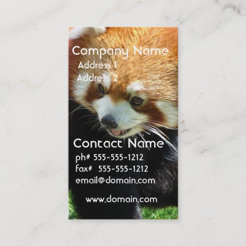 Cute Red Panda Bear Business Card