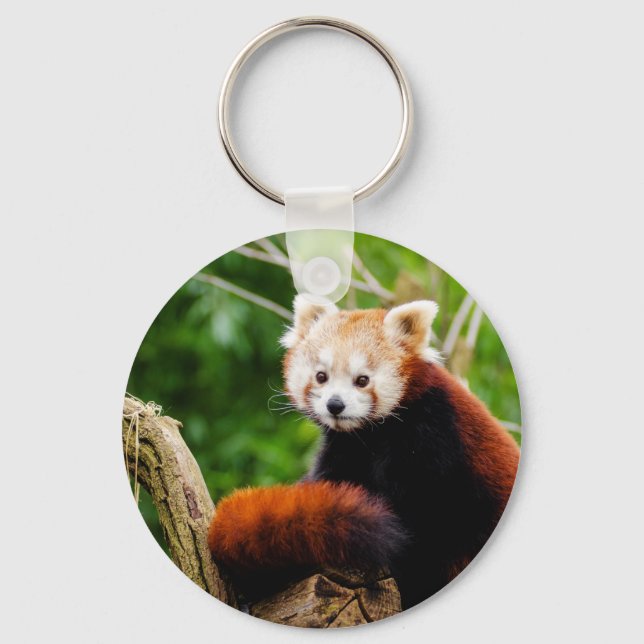 Cute Red Panda Bear Keychain (Front)