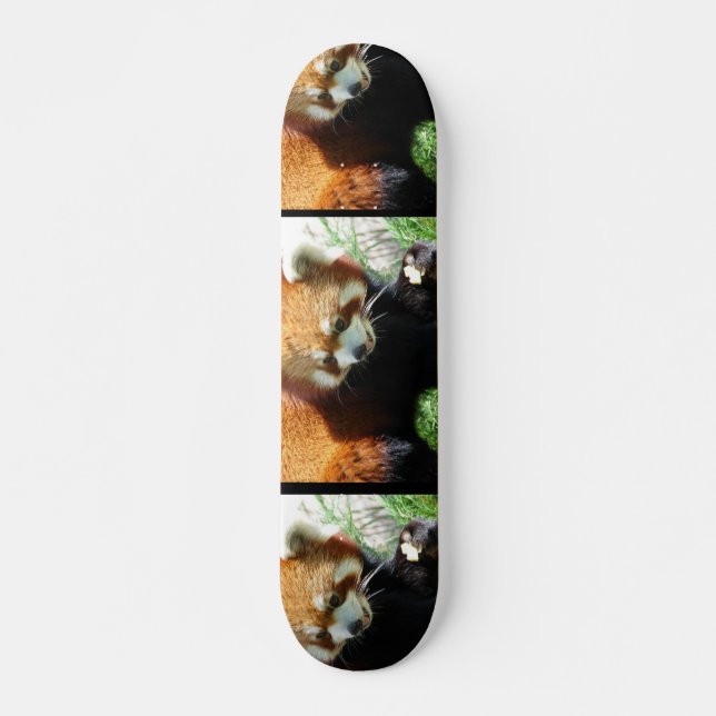 Cute Red Panda Bear Skateboard (Front)