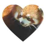 Cute Red Panda Bear Stickers