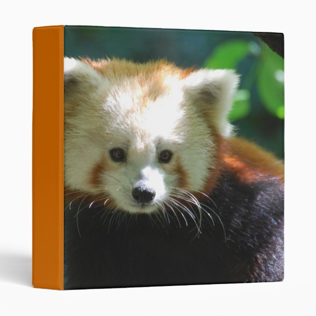 Cute Red Panda Binder (Front/Spine)