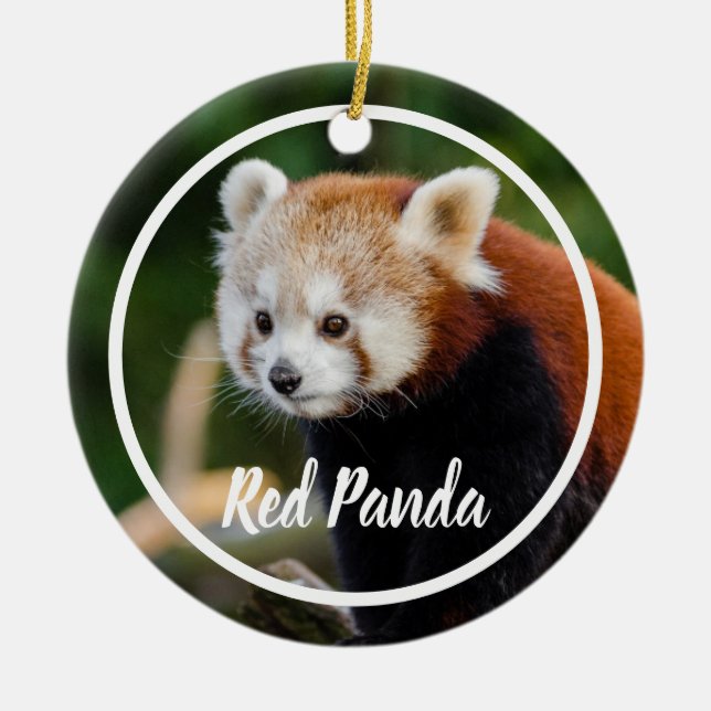 Cute Red Panda Frame Ceramic Ornament (Front)