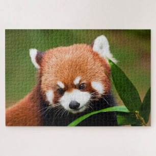 Cute Red Panda Jigsaw Puzzle
