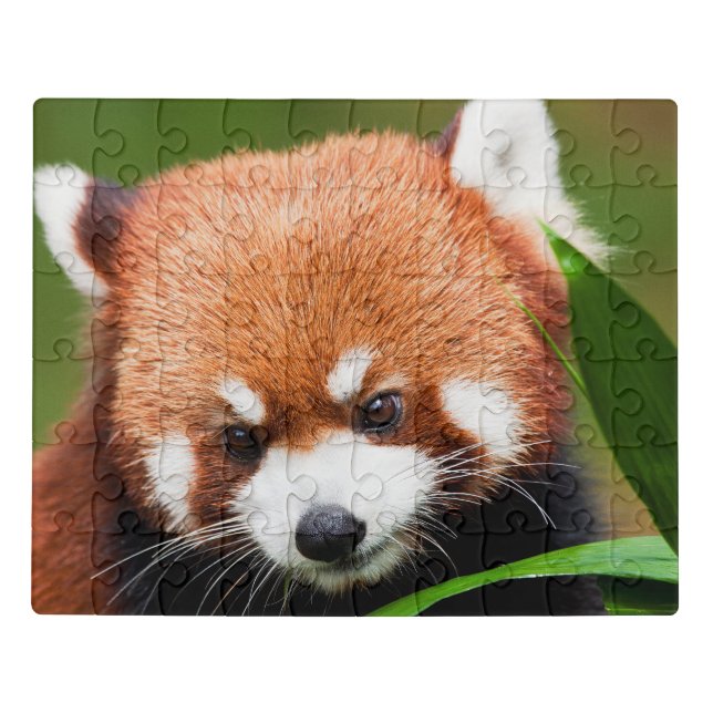 Cute Red Panda Jigsaw Puzzle (Puzzle Horizontal)