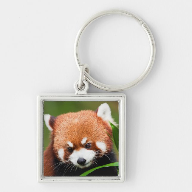 Cute Red Panda Keychain (Front)