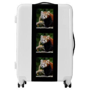 Cute Red Panda Luggage