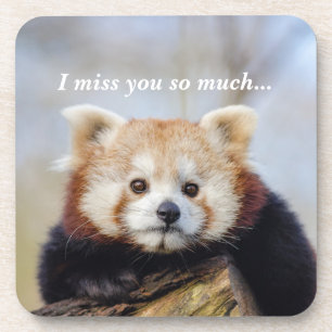 Cute Red Panda Miss You So Much  Beverage Coaster
