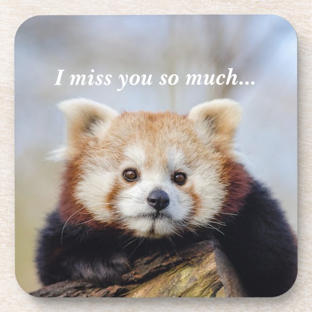 Cute Red Panda Miss You So Much  Beverage Coaster (Front)