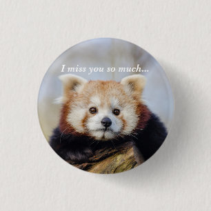 Cute Red Panda Miss You So Much Button