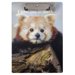 Cute Red Panda Miss You So Much  Clipboard