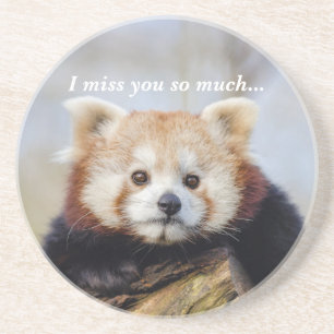 Cute Red Panda Miss You So Much Coaster