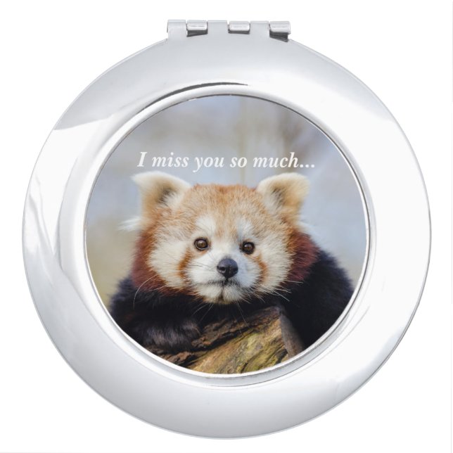 Cute Red Panda Miss You So Much  Compact Mirror (Front)