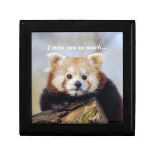 Cute Red Panda Miss You So Much  Gift Box