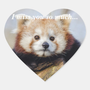 Cute Red Panda Miss You So Much  Heart Sticker